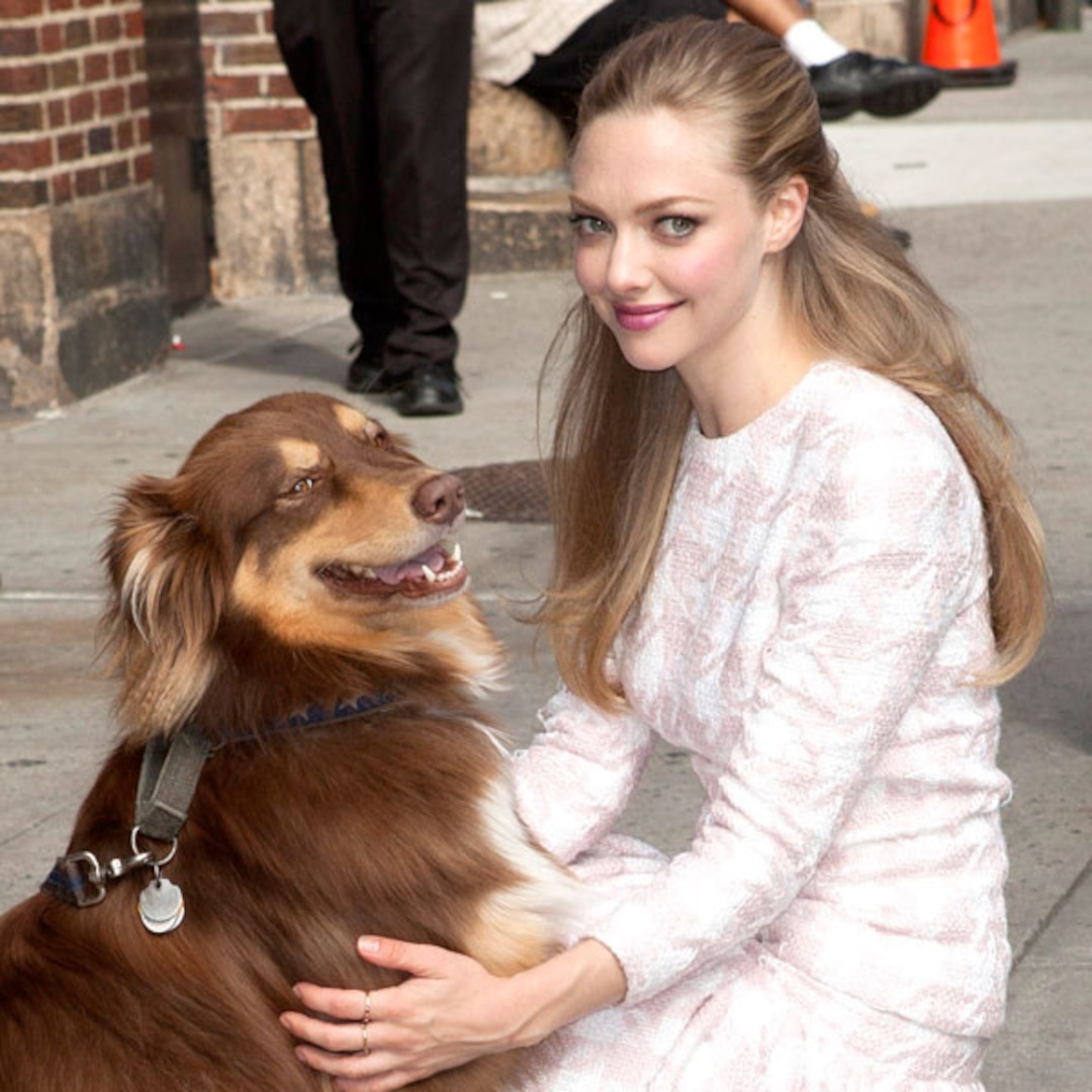 Photos From Celeb Pets On Twitter Instagram E Online